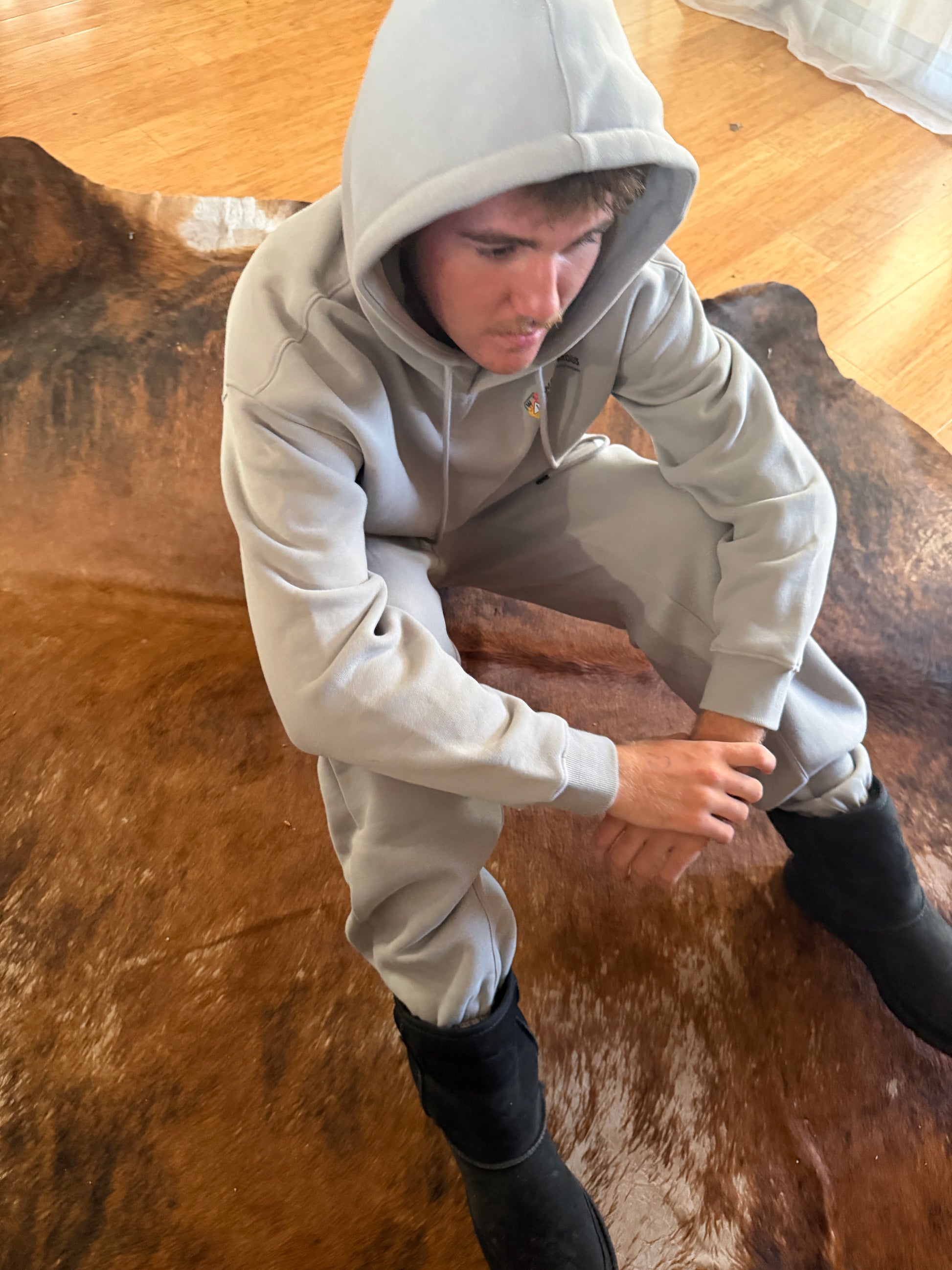 Swan To Get On It? - Hoody